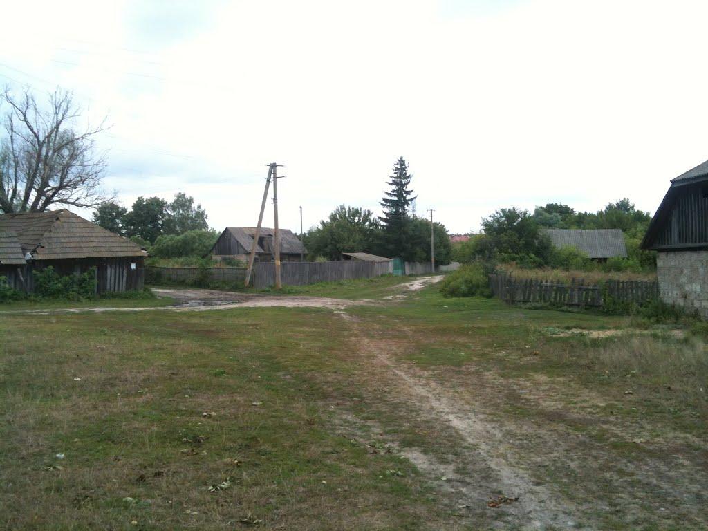 Любитове з panoramio.com - Любитово