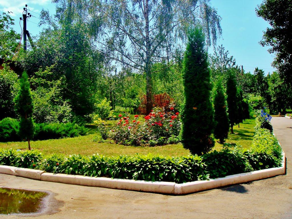 Гудзівка з panoramio.com - Gudzivka