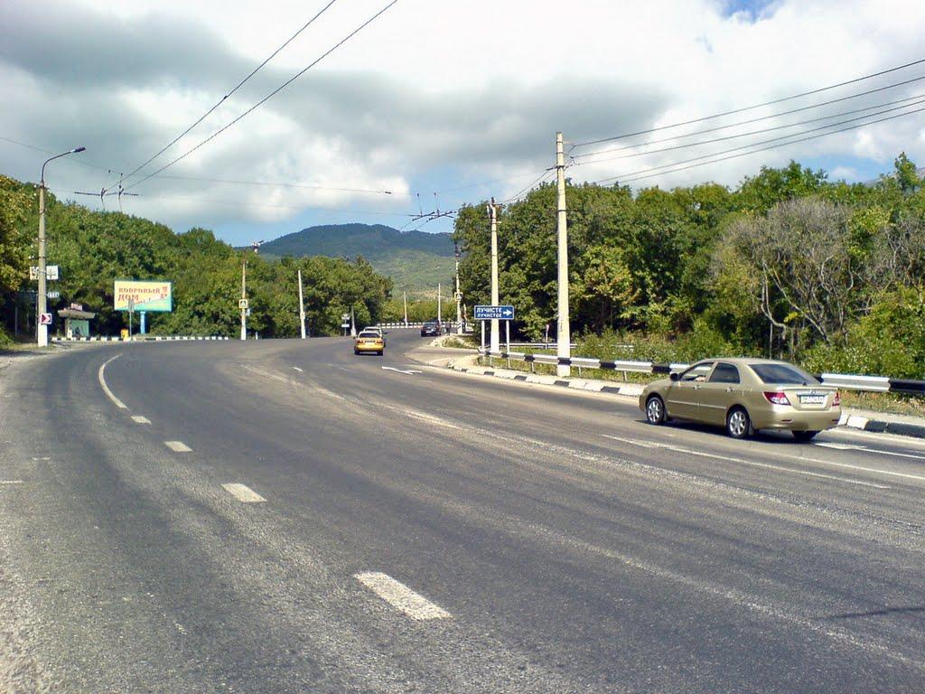 Лаванда з panoramio.com (ч.2) - Lavanda