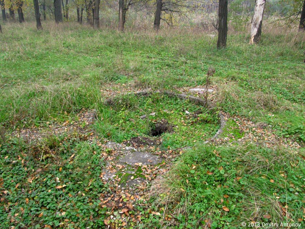Вільне з panoramio.com - Вольное