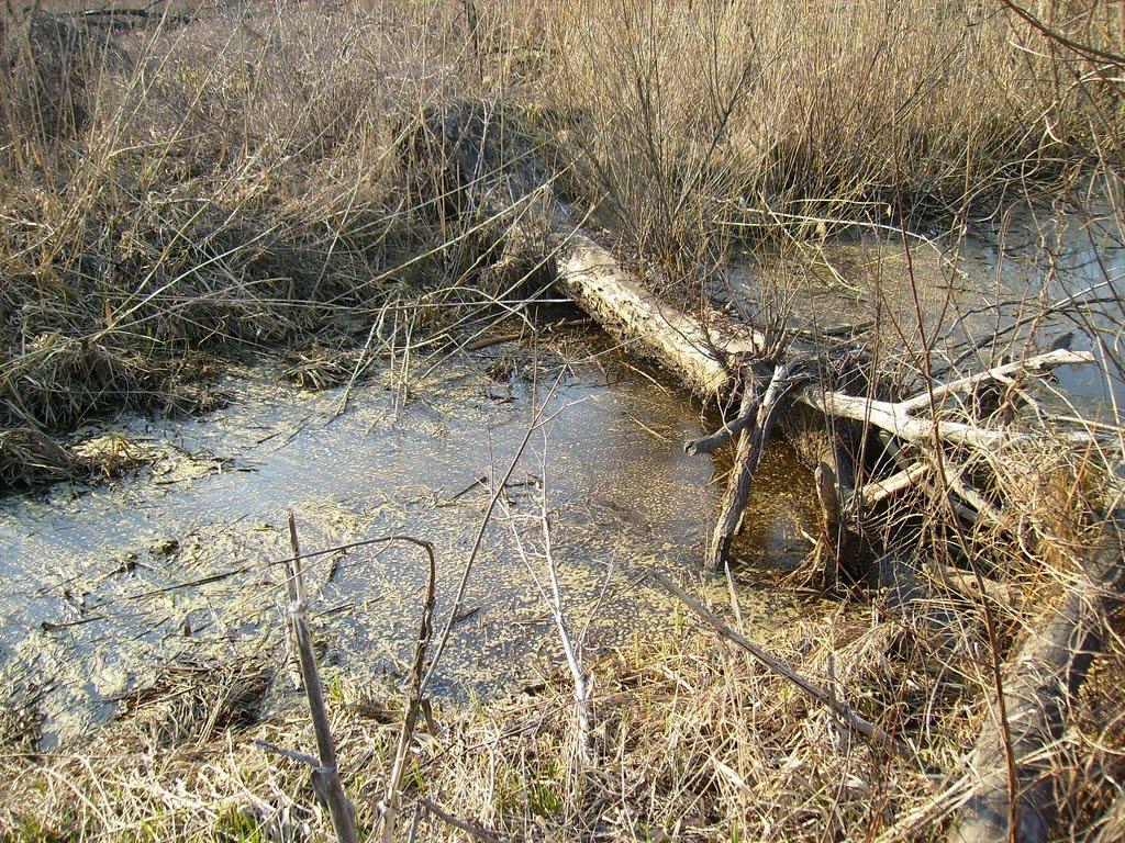 Доброславівка з panoramio.com - Доброславівка