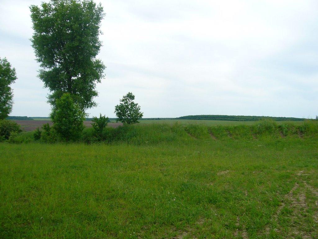 Коржівці з panoramio.com - Коржівці