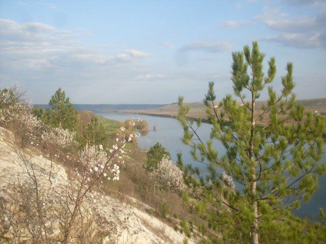 Верхня Слобідка з panoramio.com - Верхня Слобідка