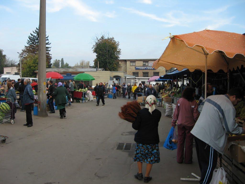 Софіївська Борщагівка з panoramio.com (ч.2) - Софиевская Борщаговка