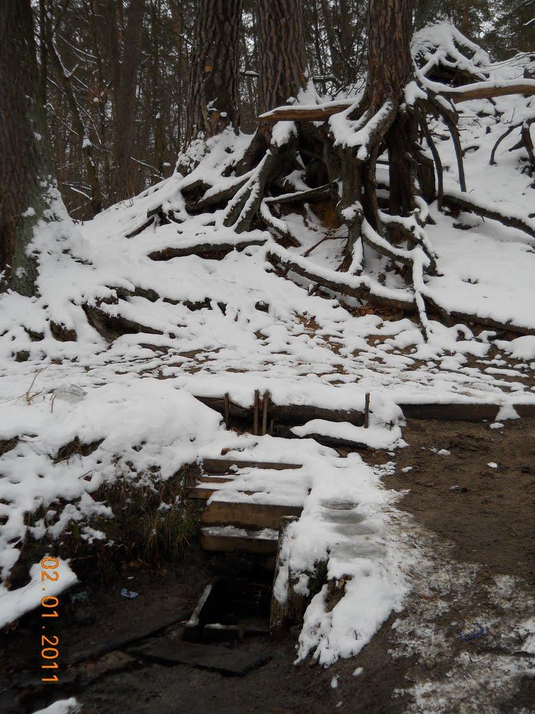 Горенка з panoramio.com - Горенка
