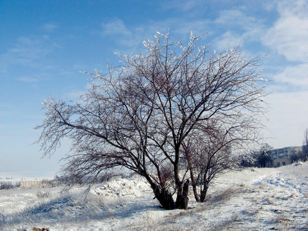 Шкільне з panoramio.com - Школьное