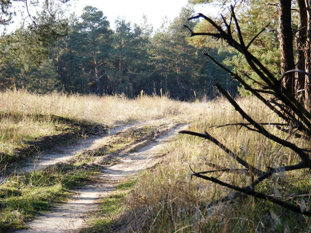 Раденськ з panoramio.com - Раденськ