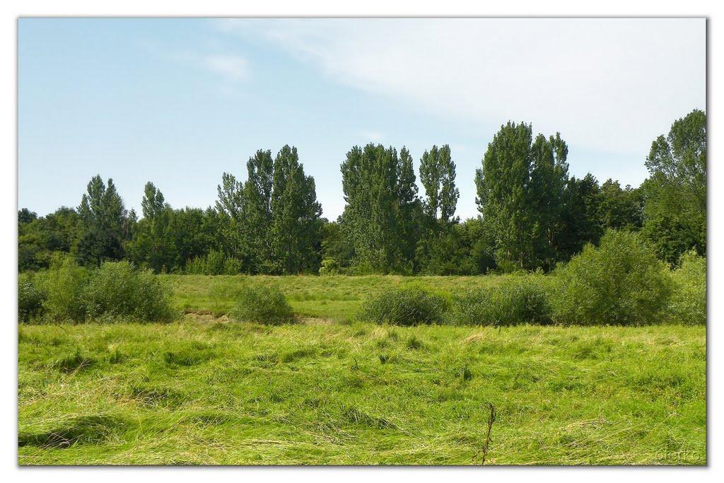 Фертешолмаш з panoramio.com - Фертешолмаш