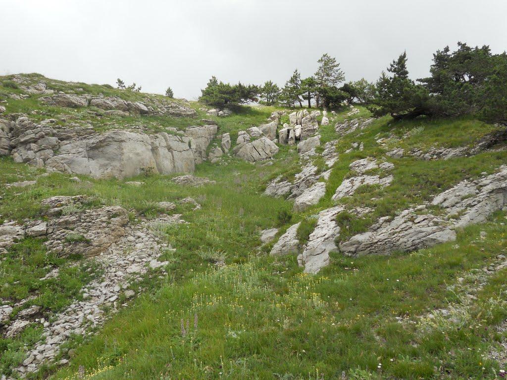 Совєтське з panoramio.com (ч.2) - Советское