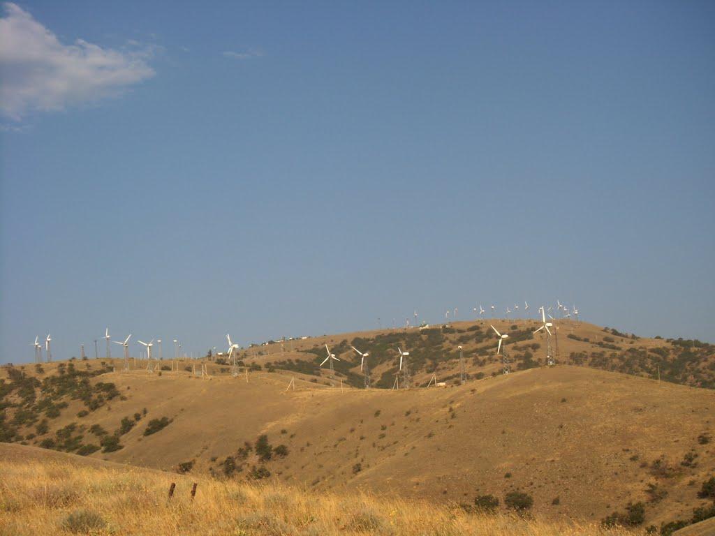 Багатівка з panoramio.com - Багатівка