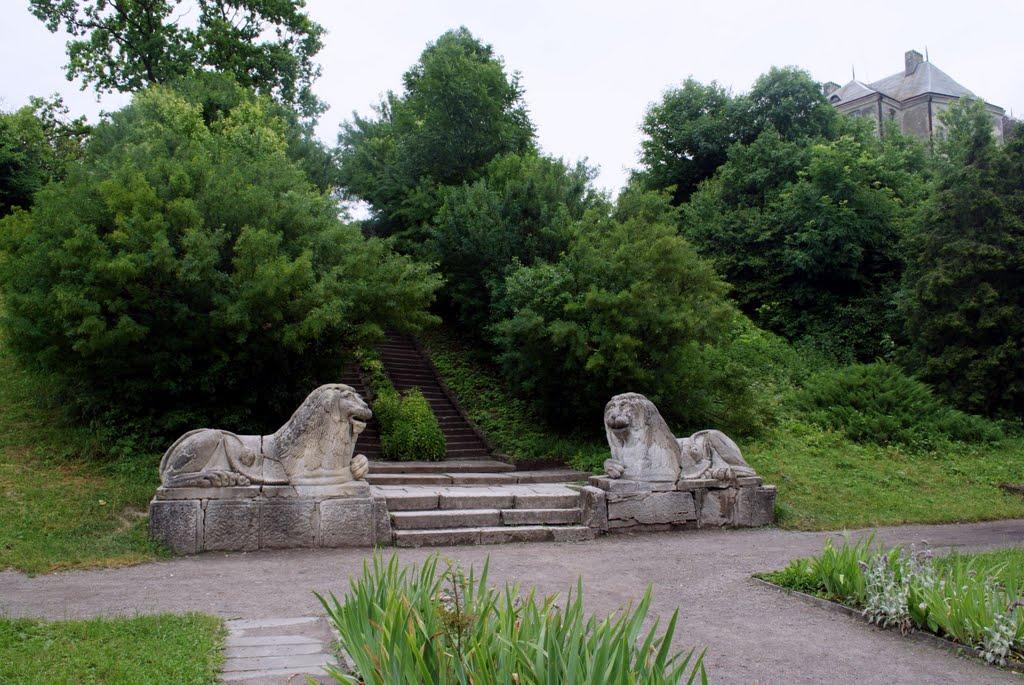 Олесько з panoramio.com - Олесько