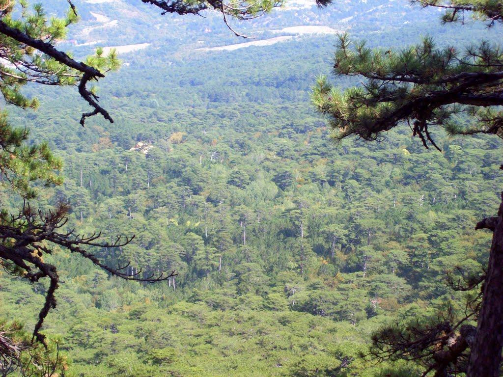 Високогірне з panoramio.com - Высокогорное