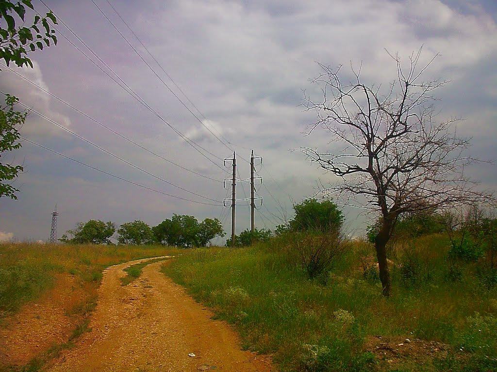 Синевирська Поляна з panoramio.com - Синевирская Поляна