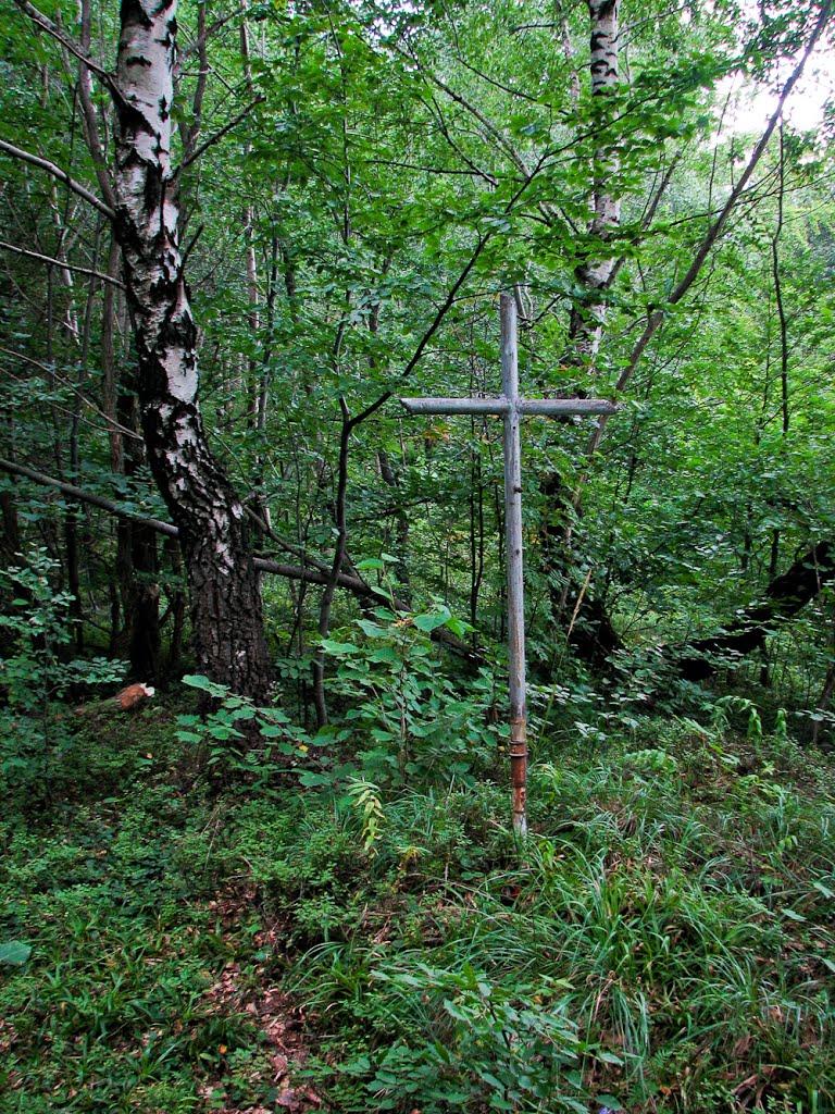 Крушельниця з panoramio.com - Крушельниця