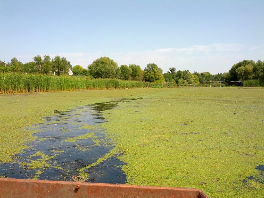 Кам'яний Брід з panoramio.com - Кам'яний Брід