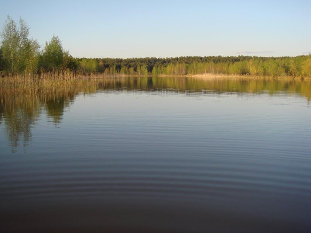 Переходівка з panoramio.com - Переходовка