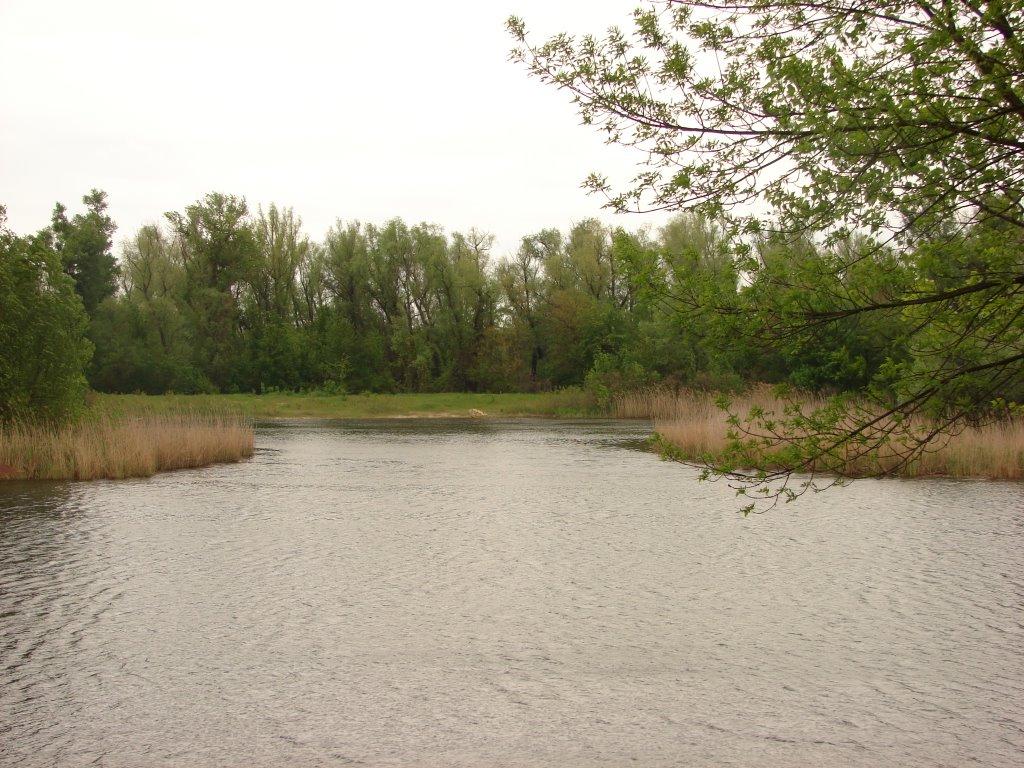 Кринки з panoramio.com - Кринки