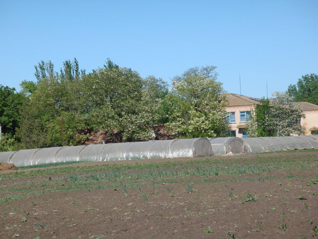 Очеретувате з panoramio.com - Очеретувате