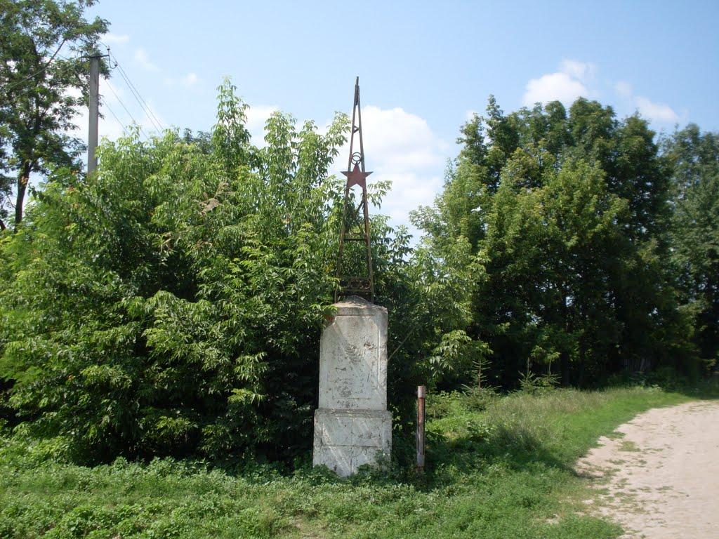 Борсуки з panoramio.com - Барсуки