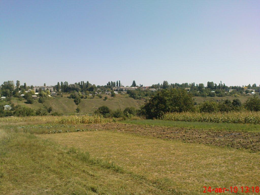 Шаргород з panoramio.com - Шаргород