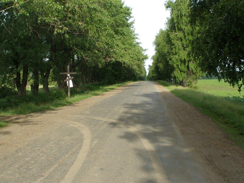 Комарівка з panoramio.com - Комаровка
