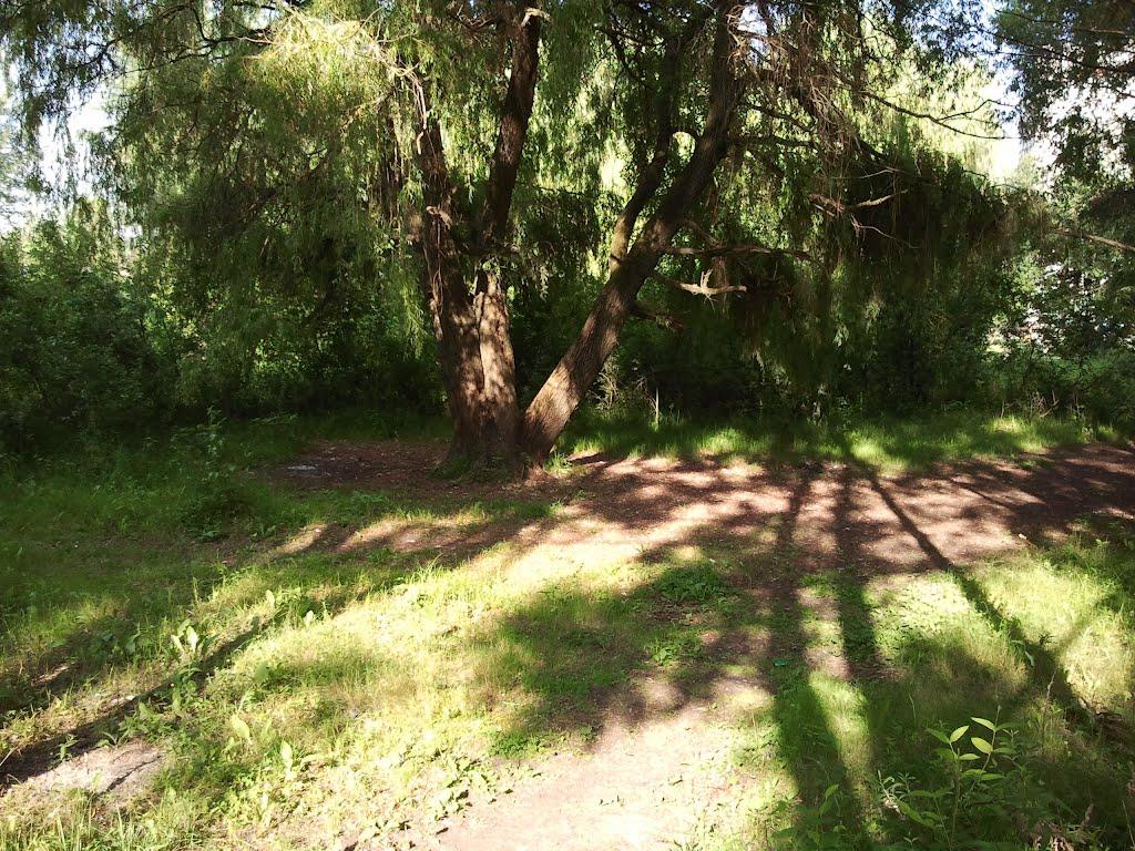 Глеваха з panoramio.com - Глеваха