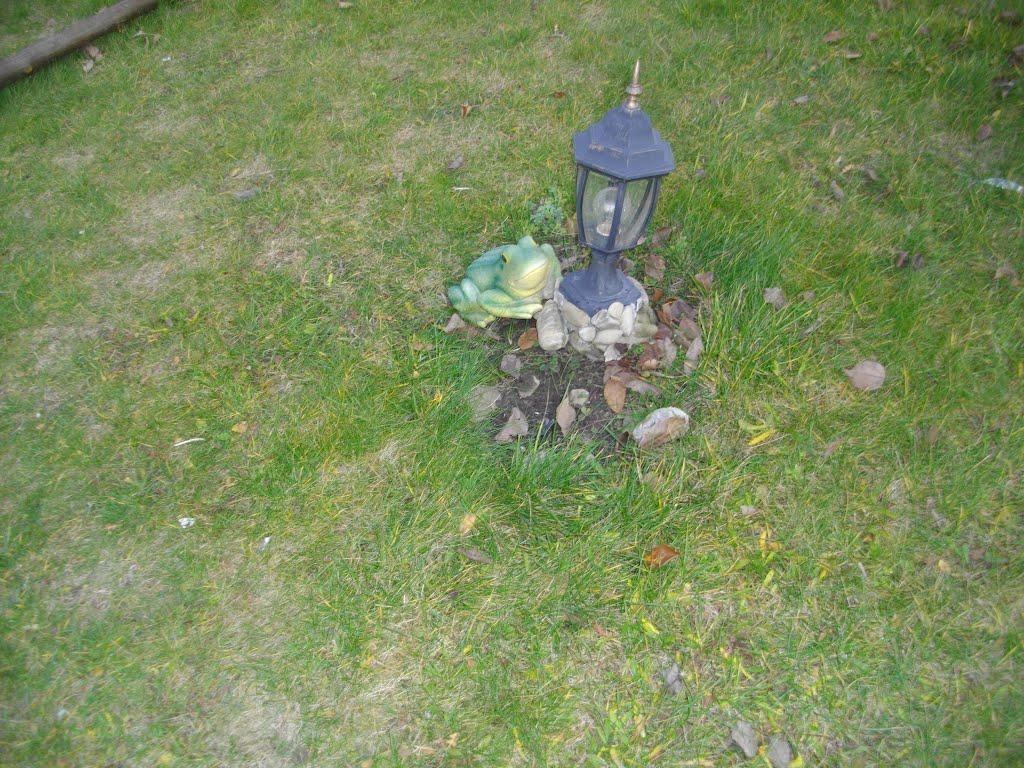 Дядьковичі з panoramio.com - Дядьковичі