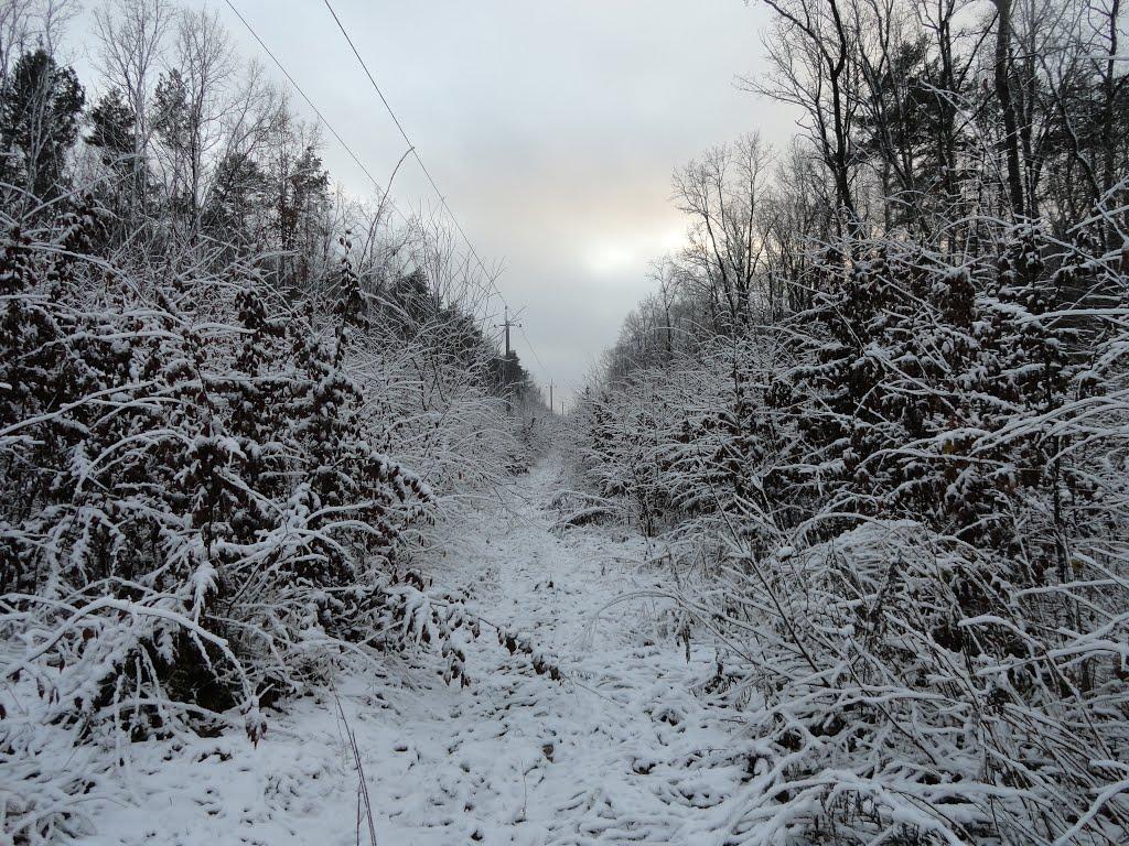Дідовичі з panoramio.com - Дідовичі