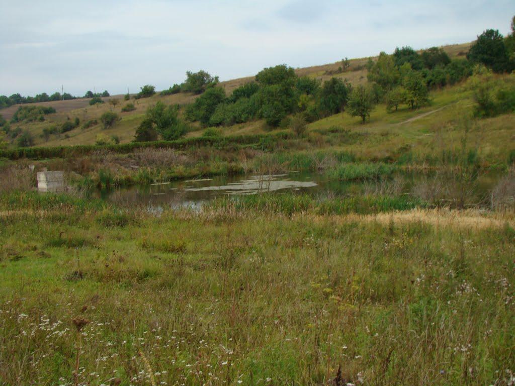 Садове з panoramio.com - Садове