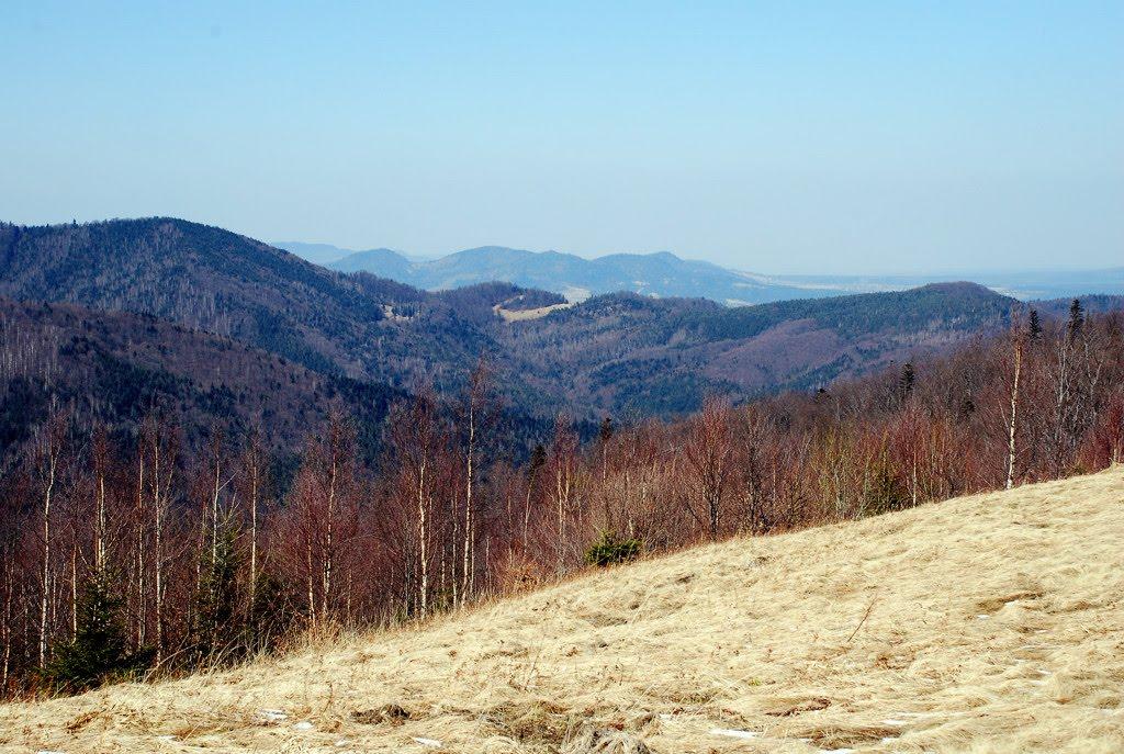 Букове з panoramio.com - Букове