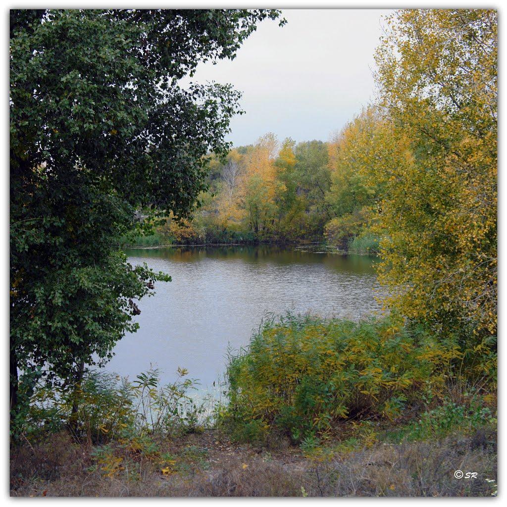 Шульгівка з panoramio.com - Шульгівка