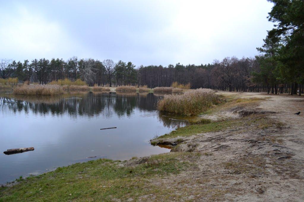 Гнідин з panoramio.com (ч.3) - Gnidyn