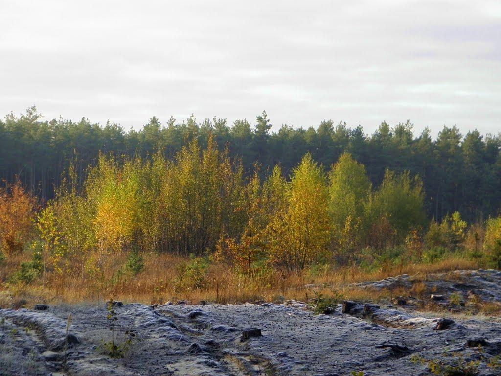 Безручки з panoramio.com - Безручки