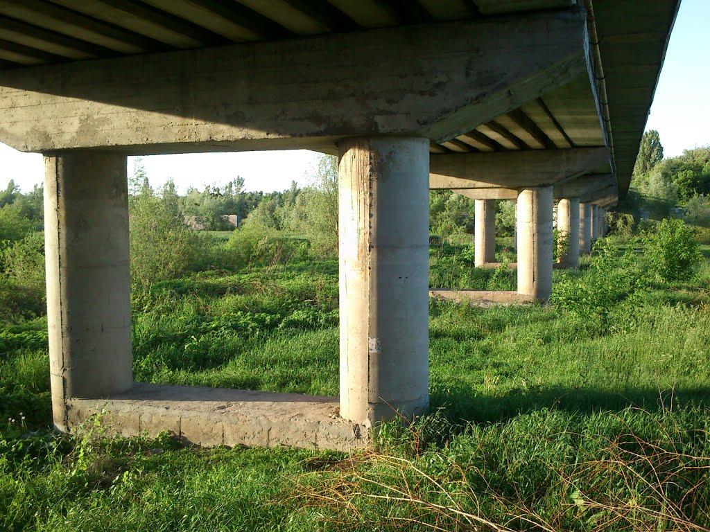 Бушеве з panoramio.com - Бушеве