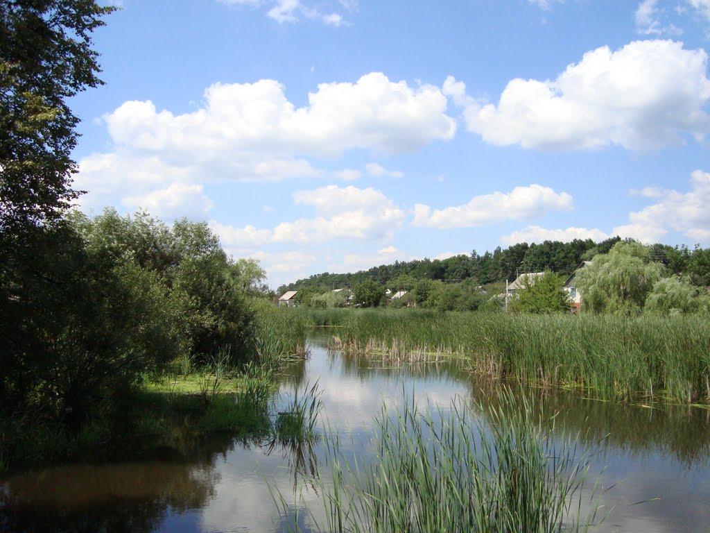 Шепетівка з panoramio.com (ч.2) - Шепетовка