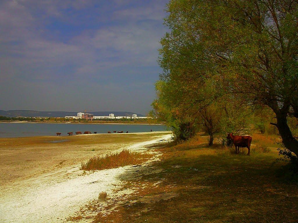 Тургенєвка з panoramio.com - Turgenyevka