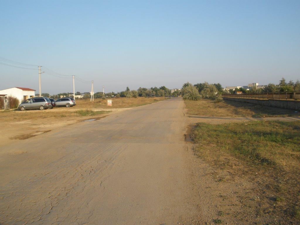 Заозерне з panoramio.com - Заозерне