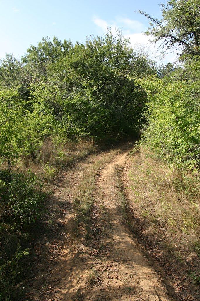 Научний з panoramio.com - Научний