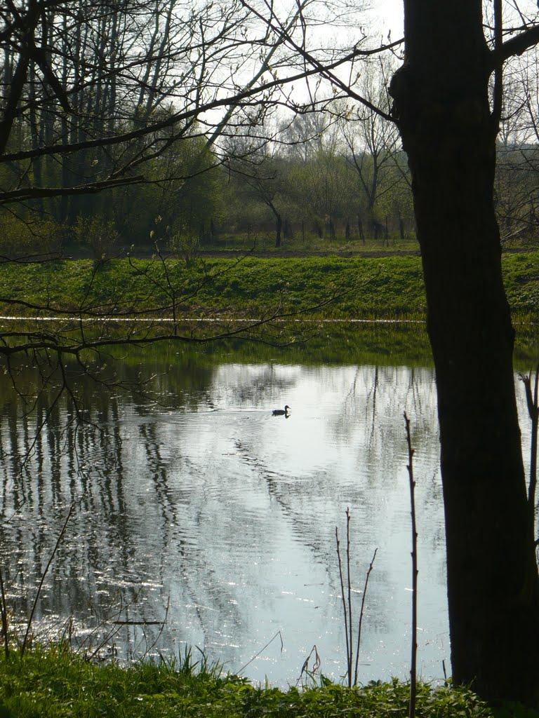 Великі Макари з panoramio.com - Великі Макари