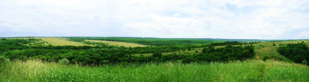 Ковпакове з panoramio.com - Колпаково