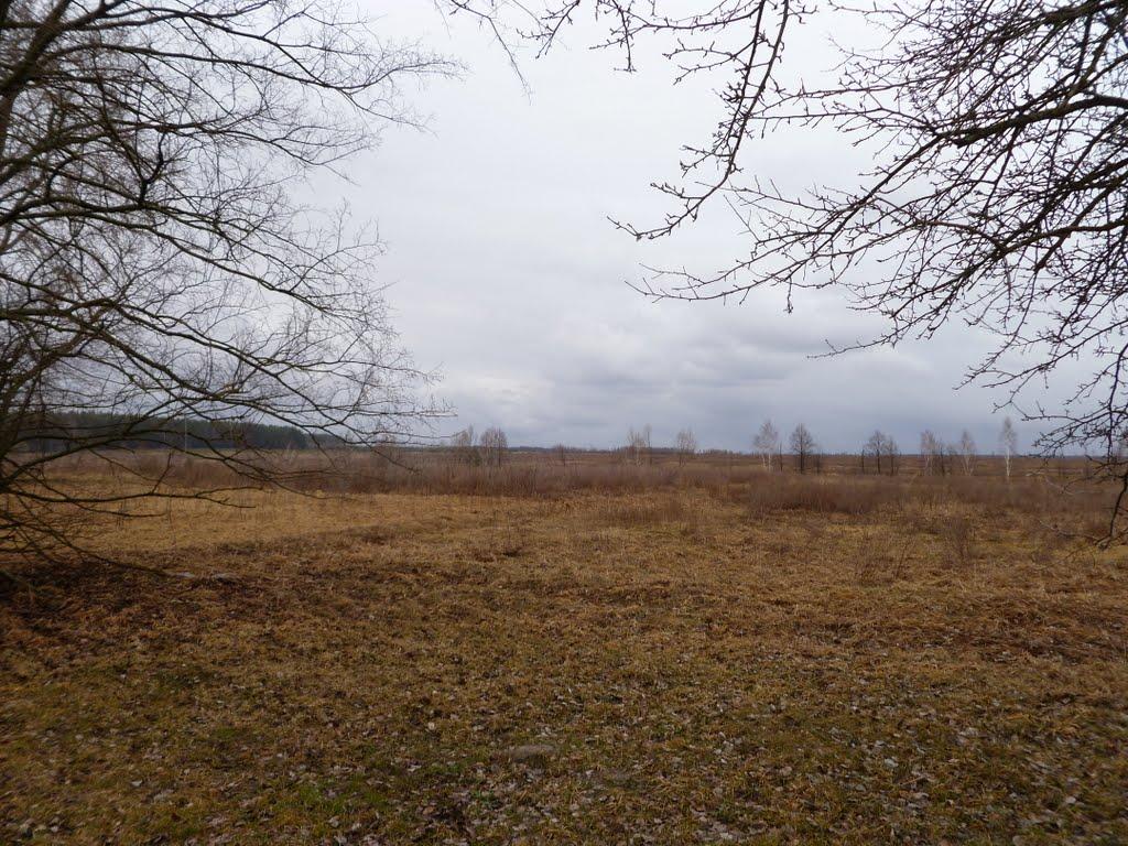 Осовець з panoramio.com - Осовец