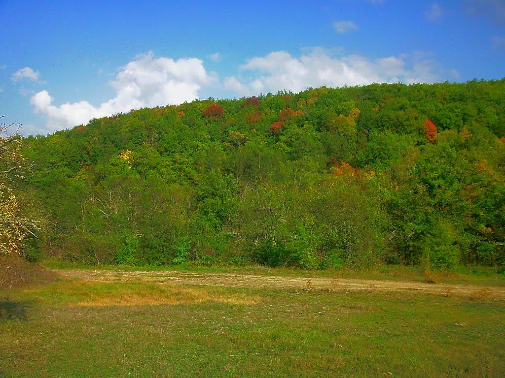 Богатир з panoramio.com - Богатир
