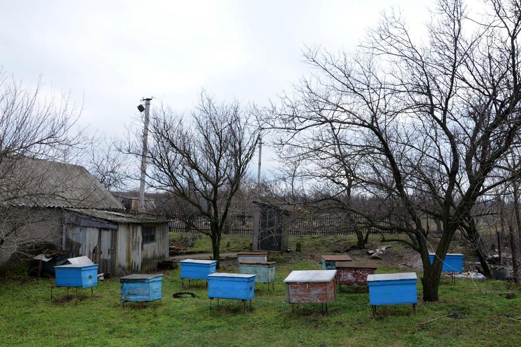 Анетівка з panoramio.com - Анетівка