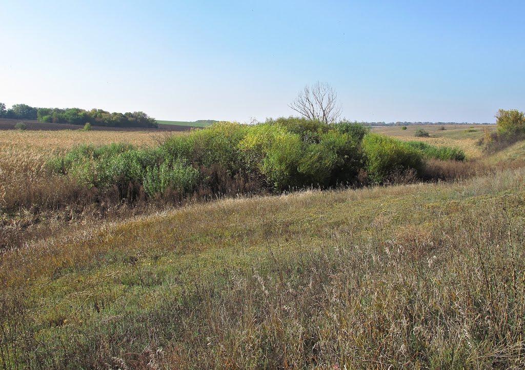 Сурське з panoramio.com - Сурское