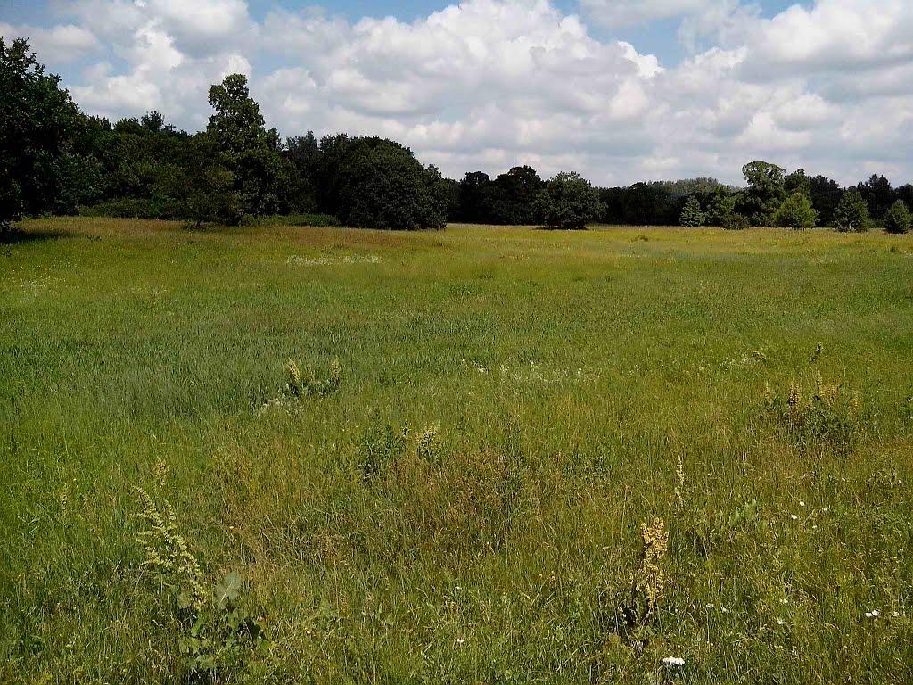 Приліпка з panoramio.com - Прилипка