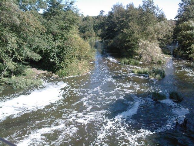Івачів Горішній з panoramio.com - Ивачев Горишний