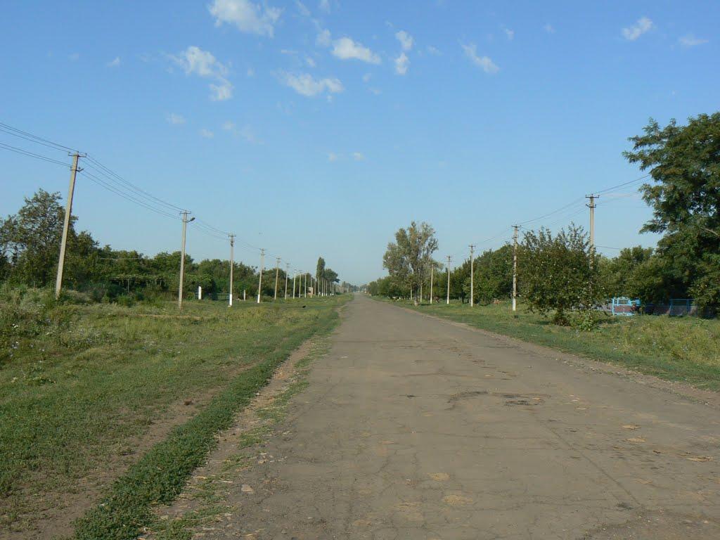 Карла Лібкнехта з panoramio.com - Карла Лібкнехта
