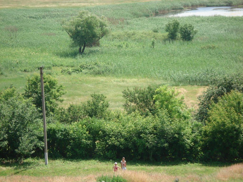 Ряське з panoramio.com - Рясское