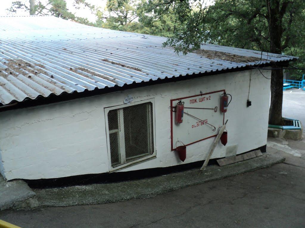 Виноградне з panoramio.com - Виноградное