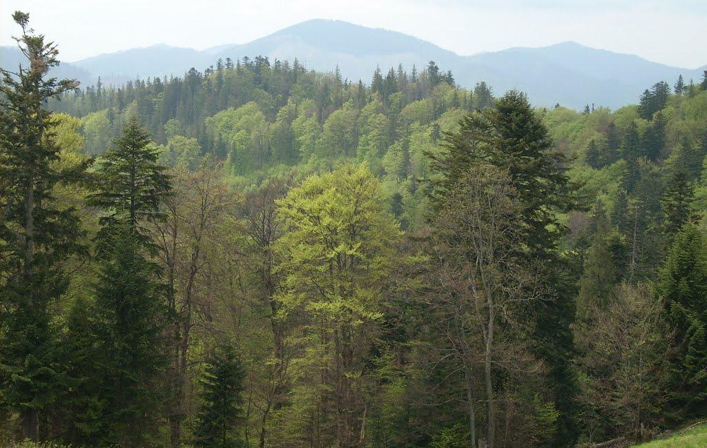 Коростів з panoramio.com - Коростів